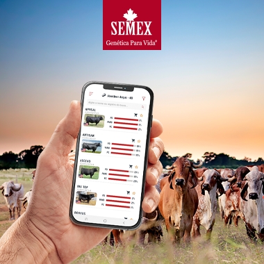 Semex • APP